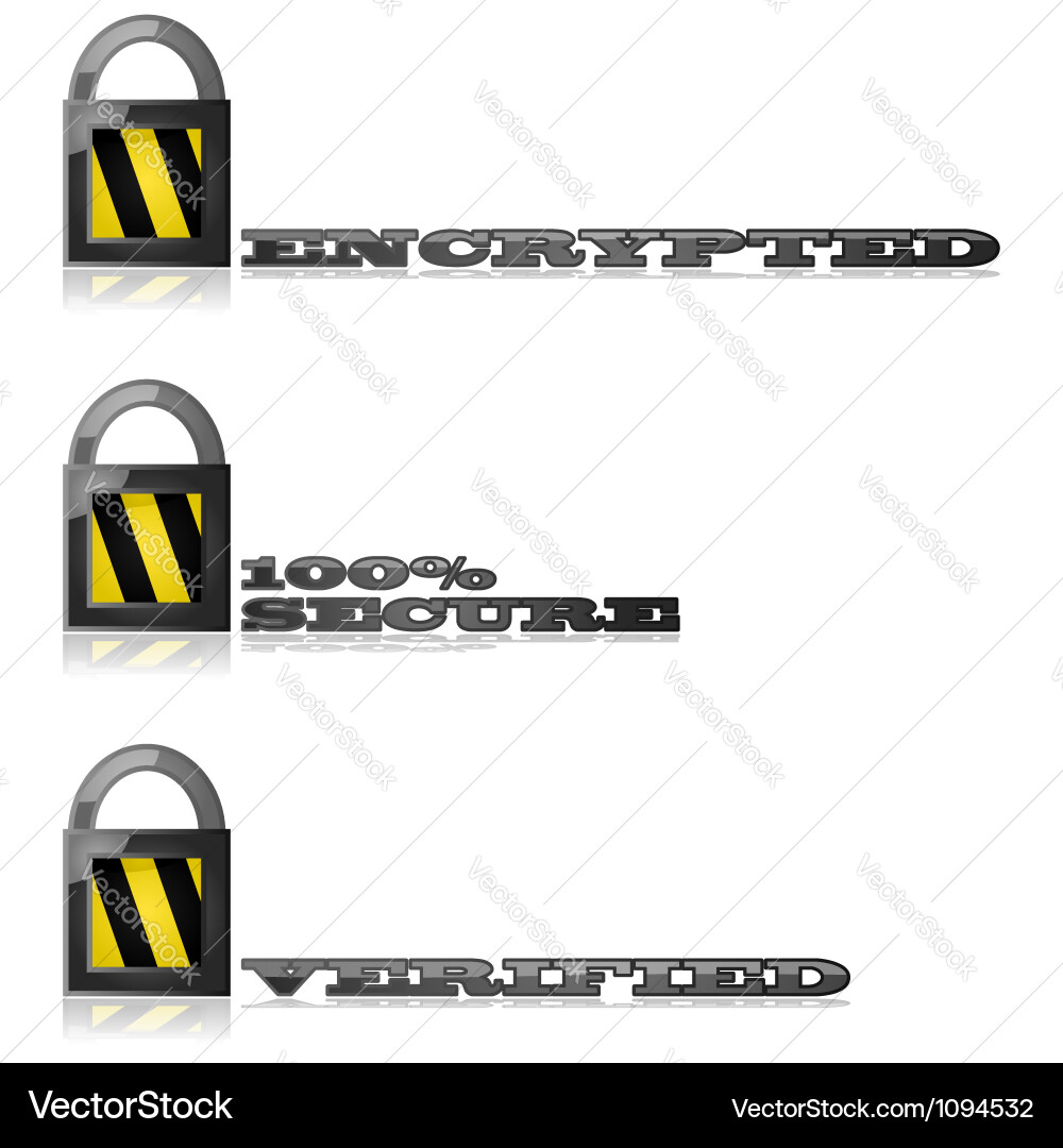 Encrypted and secure vector image