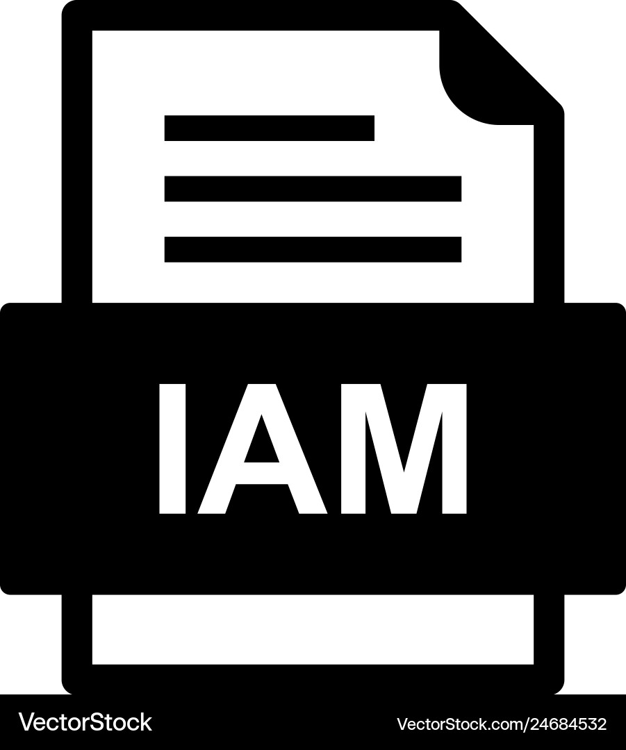 Iam file document icon Vector Image
