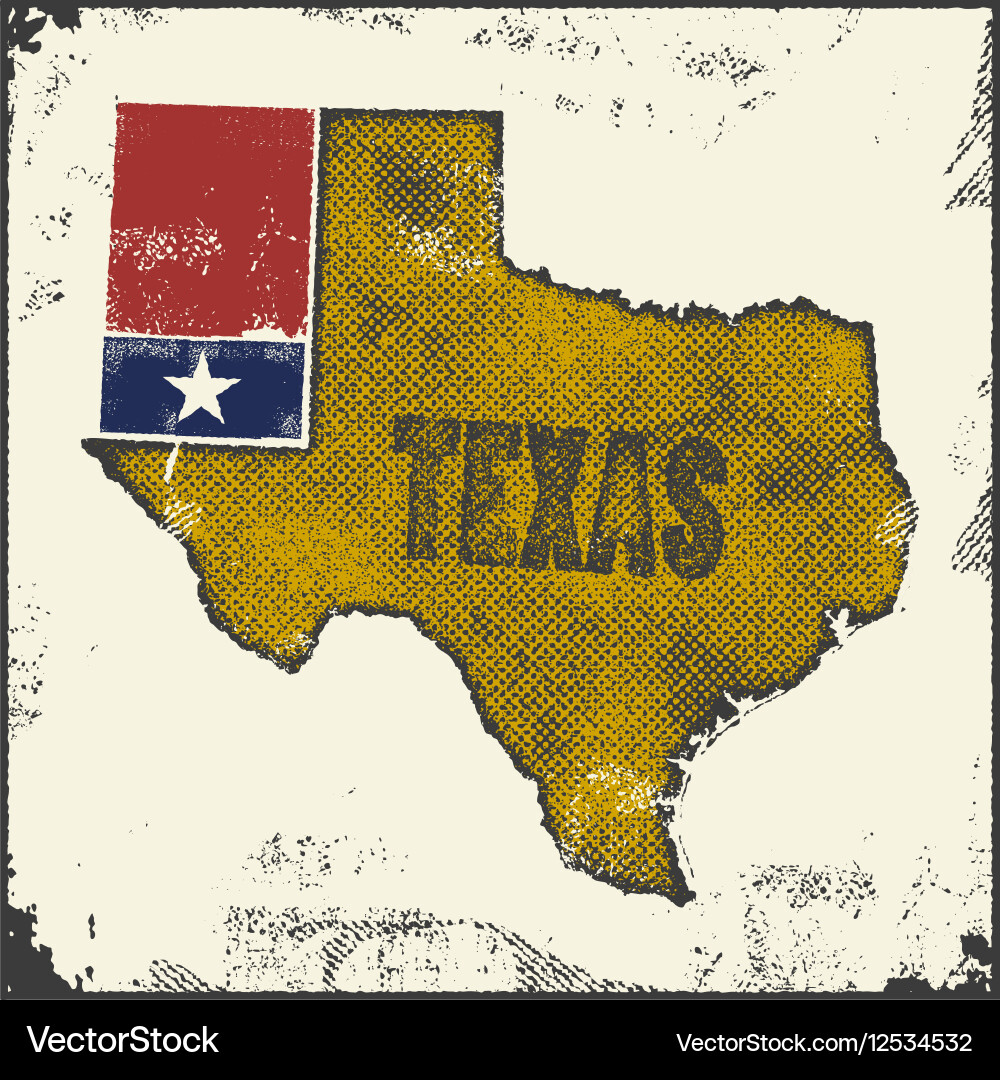 Label with map of texas vector image