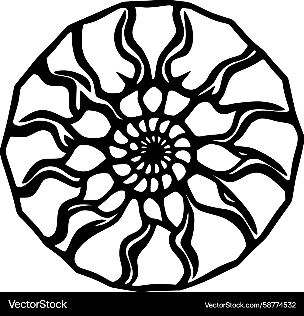 Spiral Nautilus Shell Pattern Vector Image