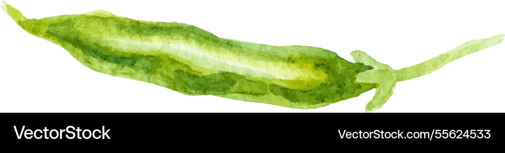 Aquarell bemalte Erbsen Hand gezogen frische Lebensmittel Aquarell bemalte Erbsen Hand gezogen frische Lebensmittel vektorbild
