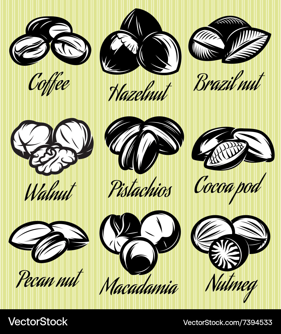 Set of symbols patterns different seeds nuts vector image