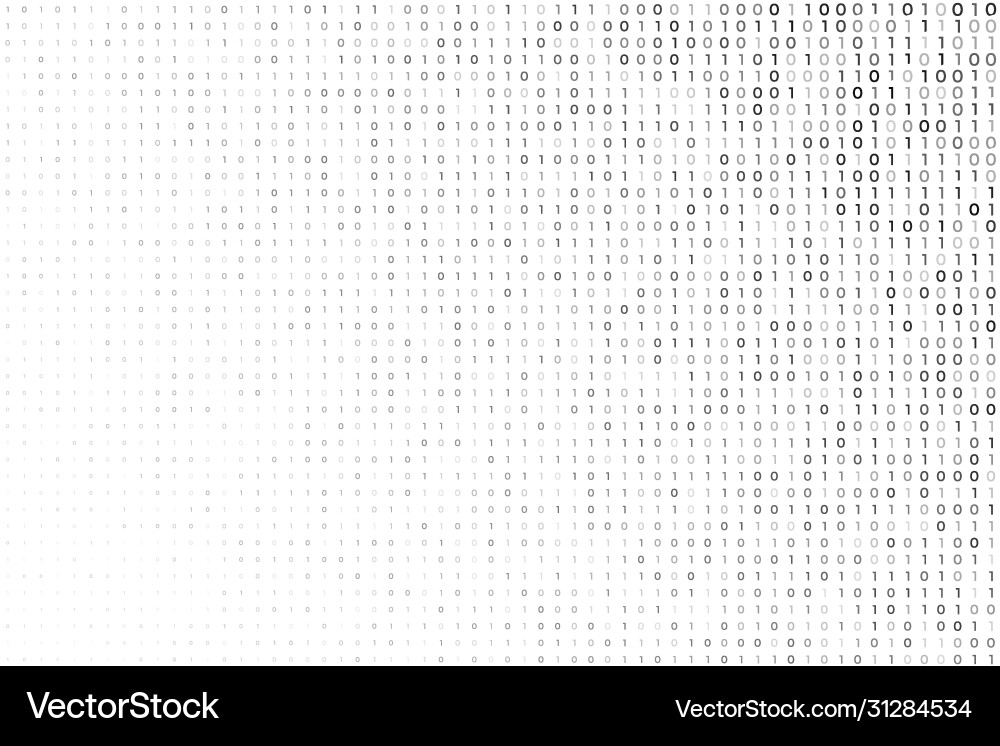 Binary Code Digital Background vector image