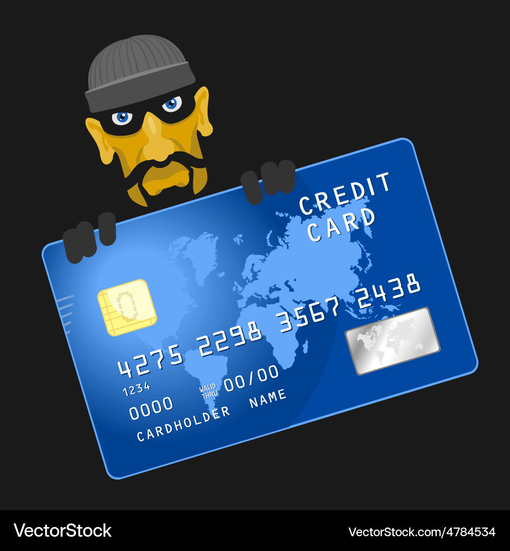 Criminals hacked credit card Vector Image