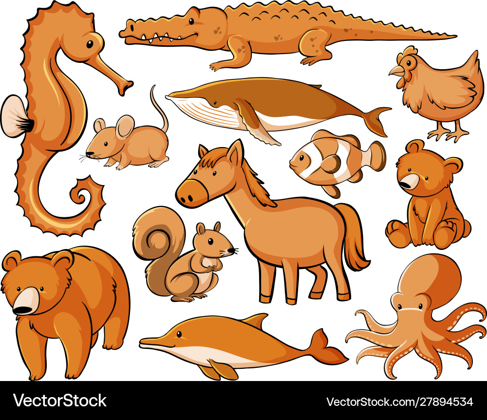 Isolated set wild animals Royalty Free Vector Image