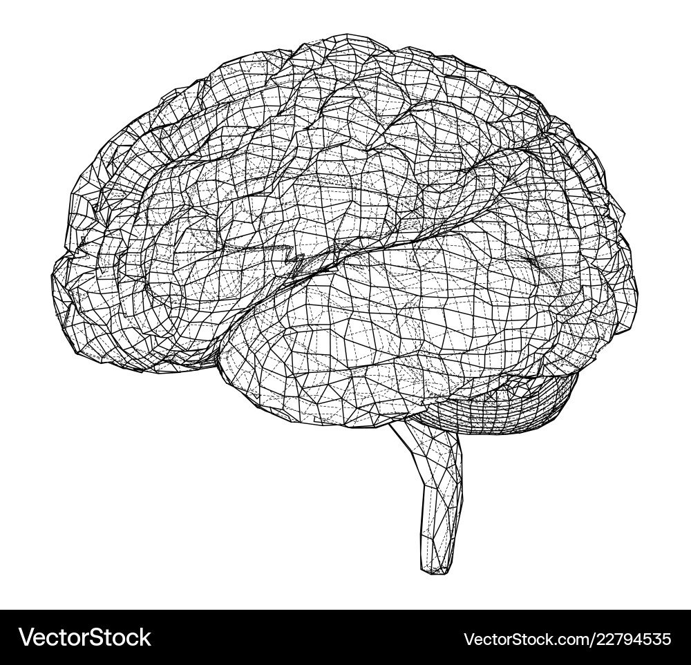 3D Brain Outline Rendering vector image