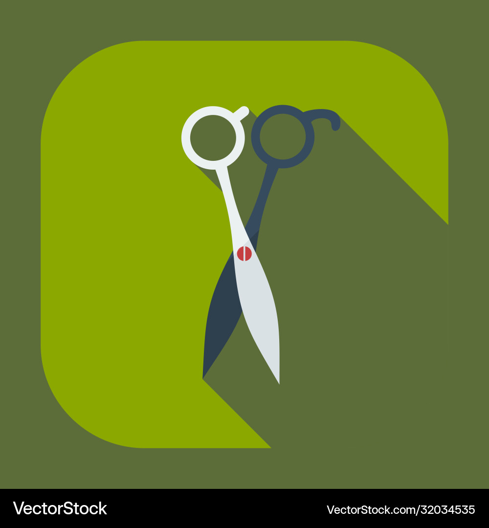 Flat modern design with shadow icons scissors Vector Image