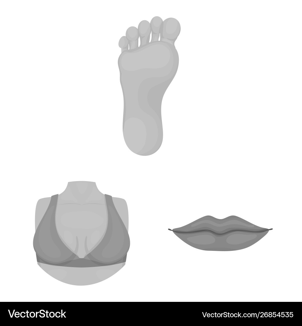 Isolated object body and part logo set Isolated object body and part logo set vector image