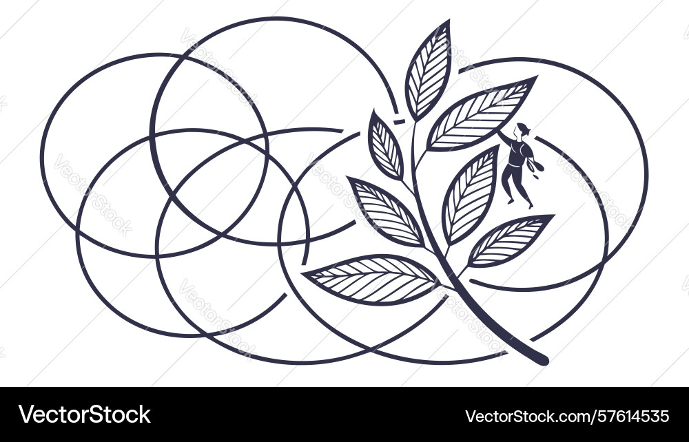 Simple olive branch with intersecting circles Vector Image
