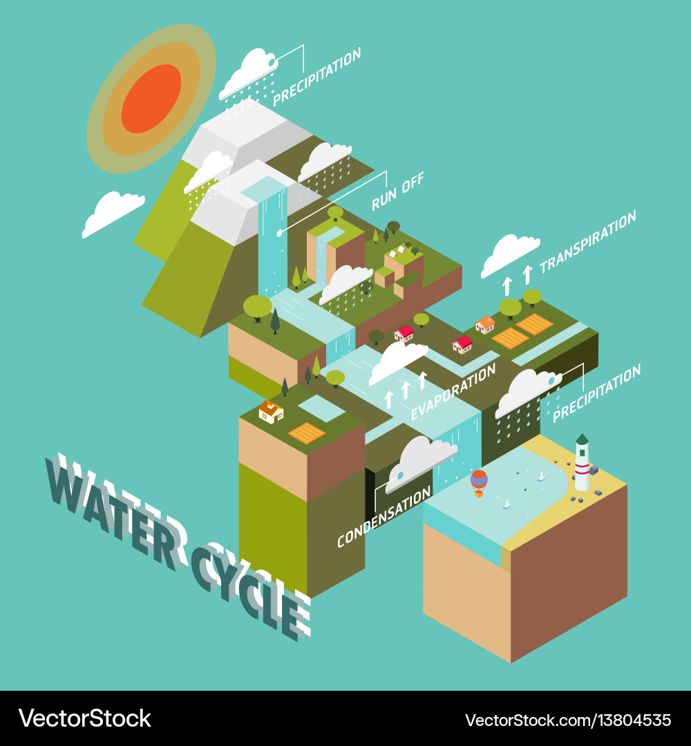 Water cycle vector image