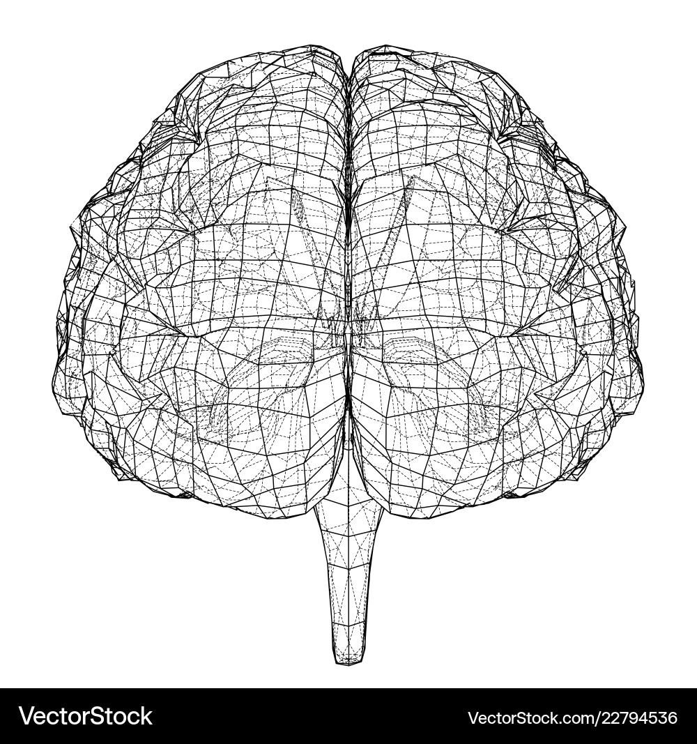 3d outline brain rendering of vector image