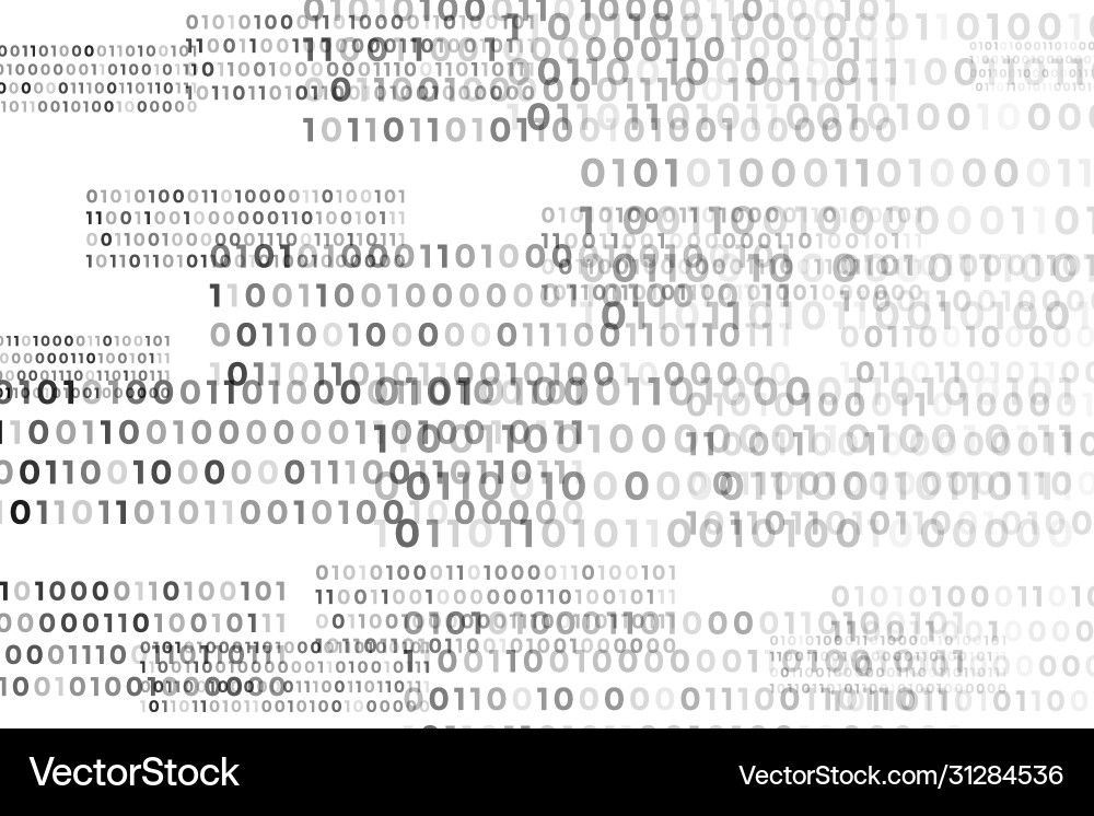 Binary Code Digital Background vector image