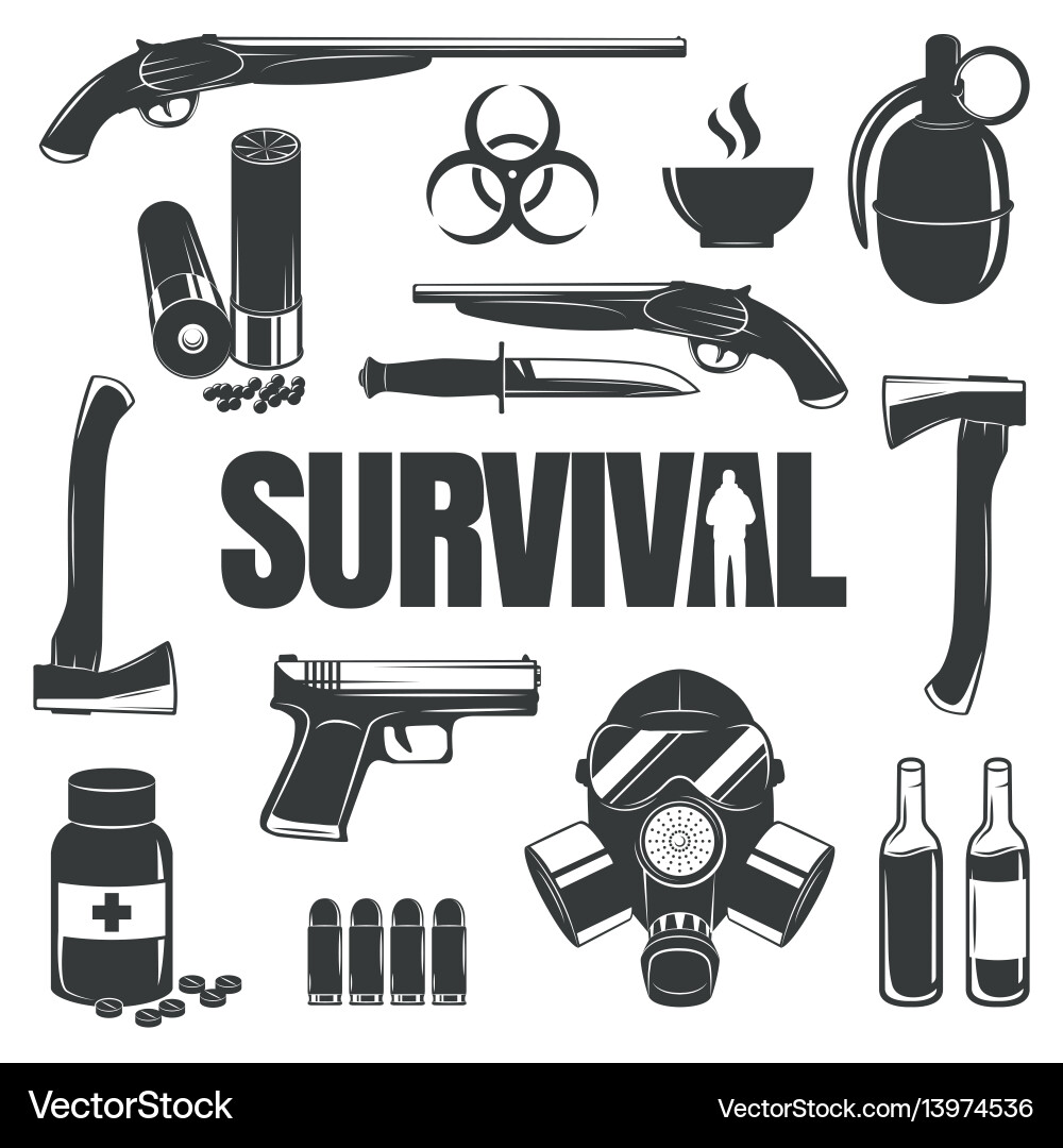 Set of icons on the theme survival Set of icons on the theme survival vector image