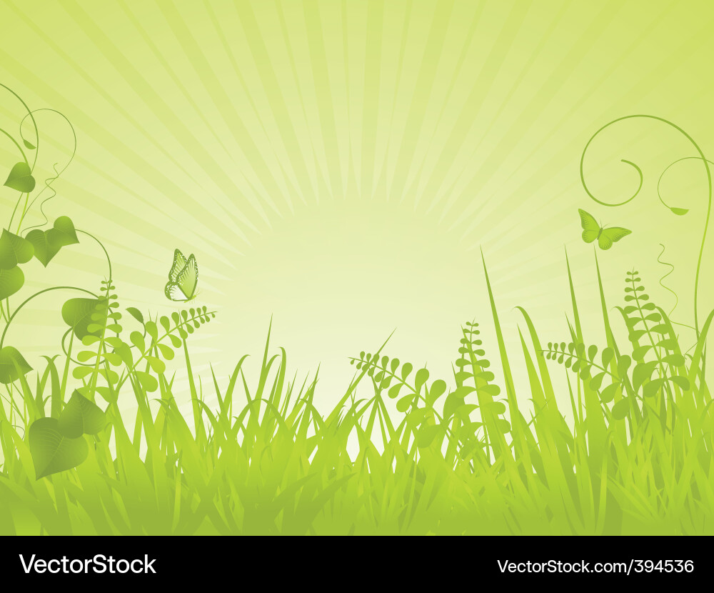 Spring Meadow Background Vector Image