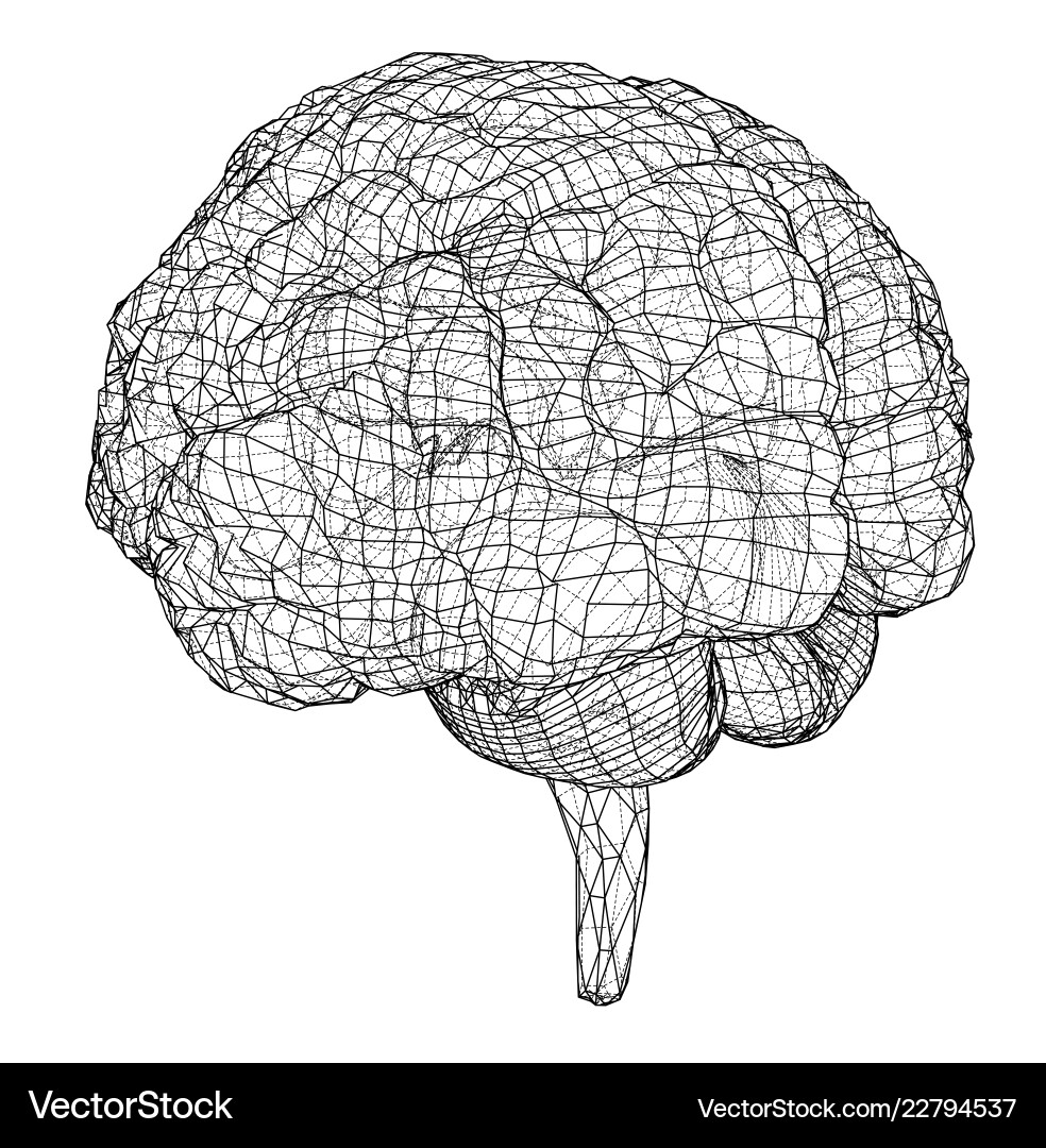 3d outline brain rendering of 3d outline brain rendering of Vector Image