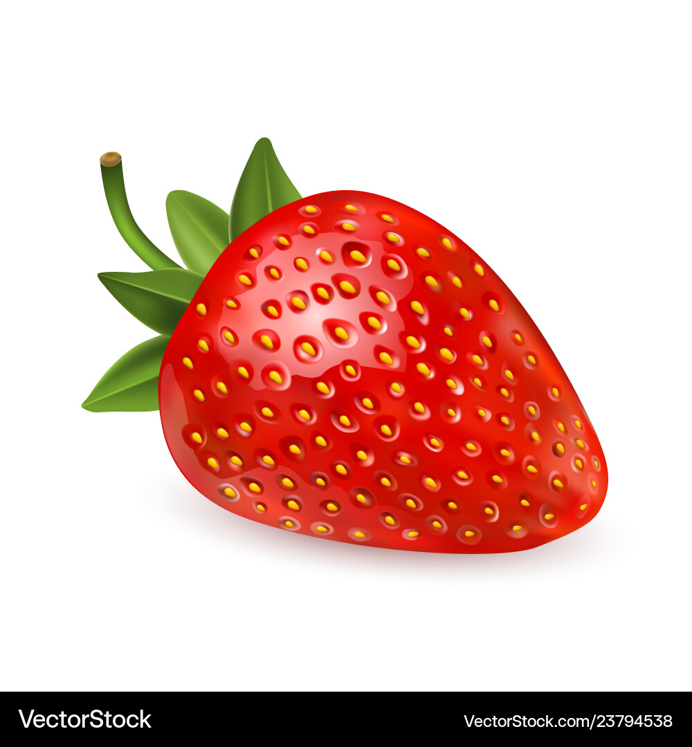 Strawberry sweet fruit 3d icons set Strawberry sweet fruit 3d icons set vector image
