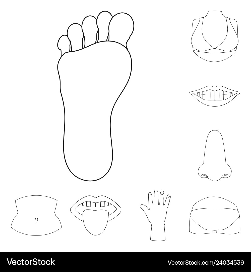 Design of body and part icon set Design of body and part icon set vector image