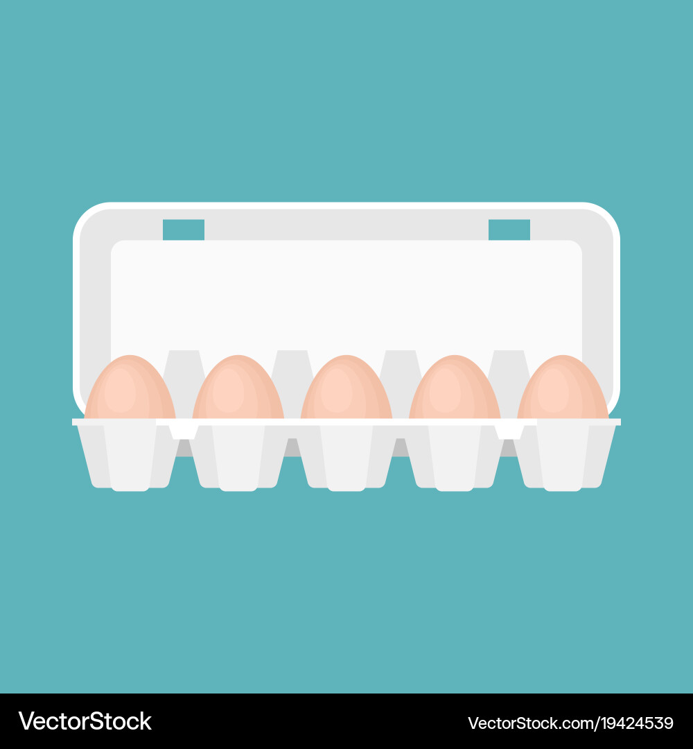 Egg box in flat design Vector Image