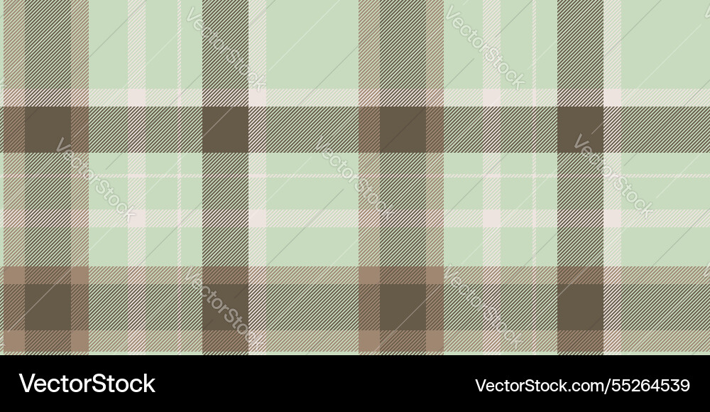 Subtle mint green and brown plaid pattern perfect Vector Image