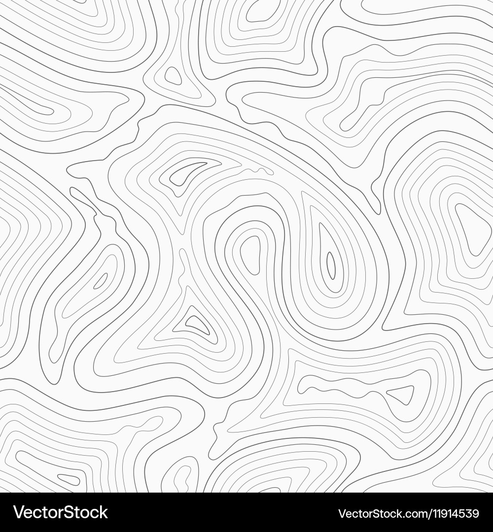 Topographic Contour Map Seamless Pattern vector image
