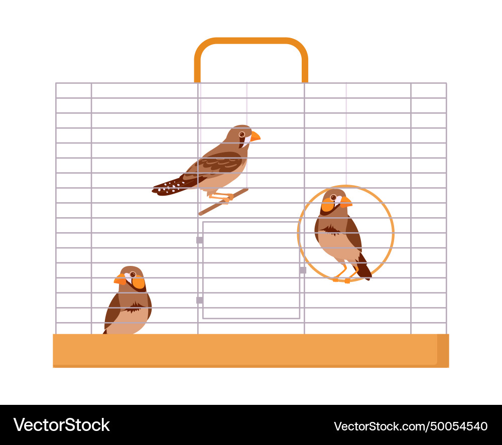 Exotische Vögel in Käfig Cartoon Eisendraht Vogel Exotische Vögel in Käfig Cartoon Eisendraht Vogel vektorbild