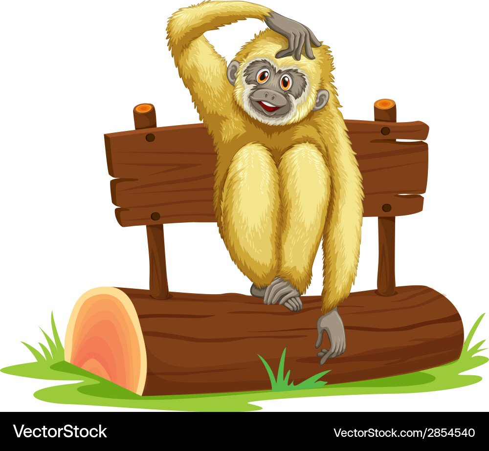 Gibbon sitting on log Vector Image