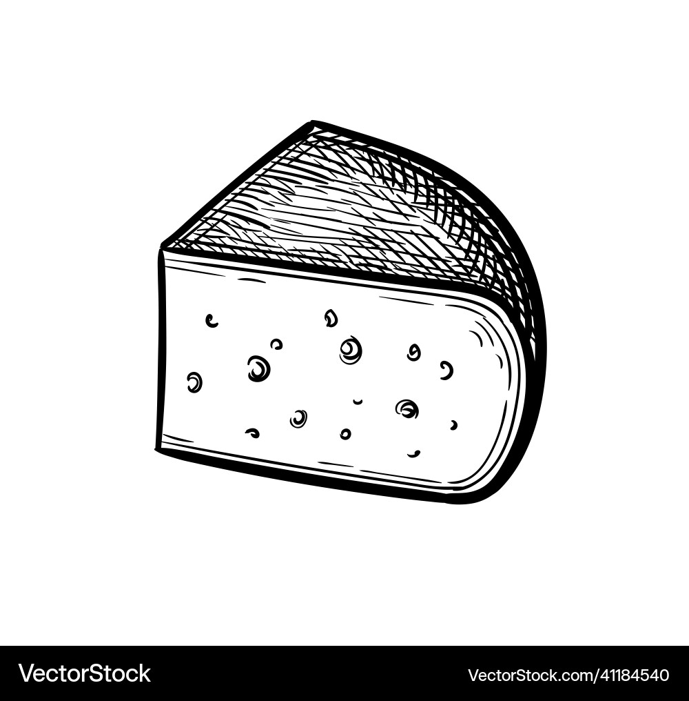 Gouda cheese ink sketch Gouda cheese ink sketch vector image