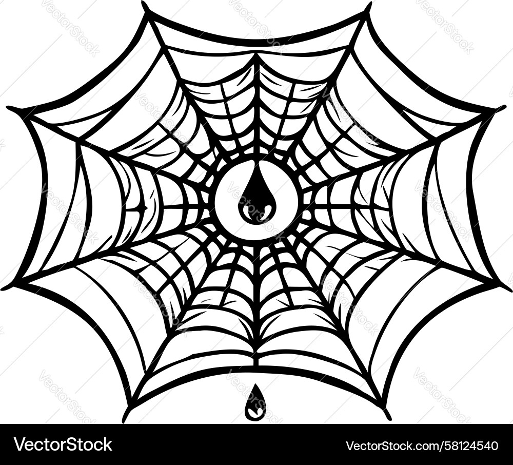 Minimalist Spiderweb Pattern Vector Image