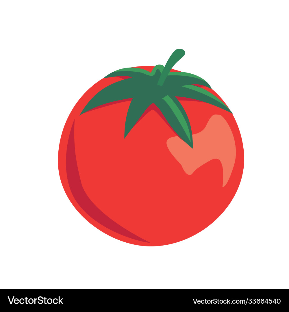 Soda design flat objects Vector Image