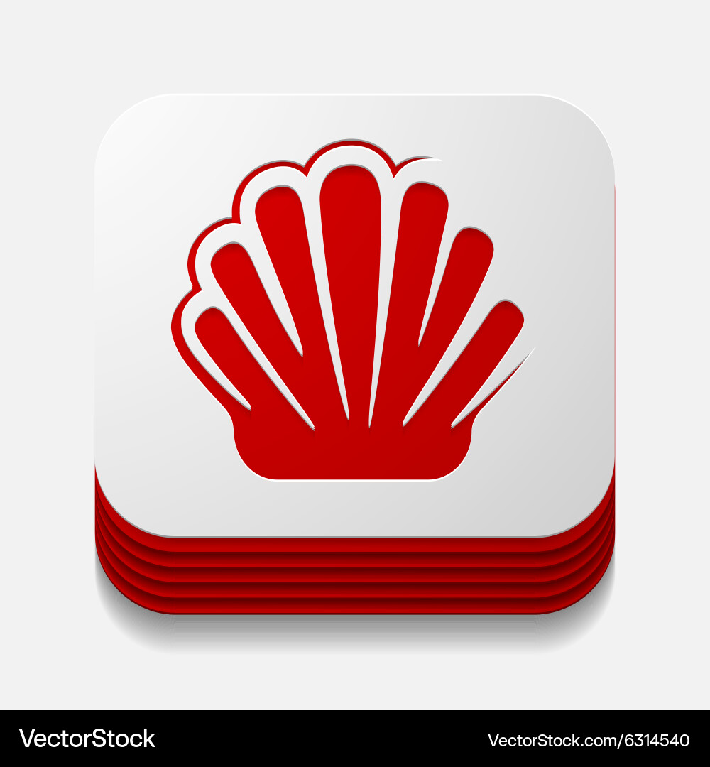 Square button shell Vector Image