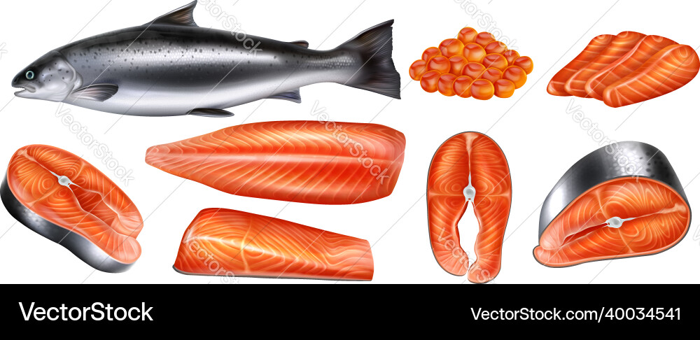 Raw salmon fish set vector image