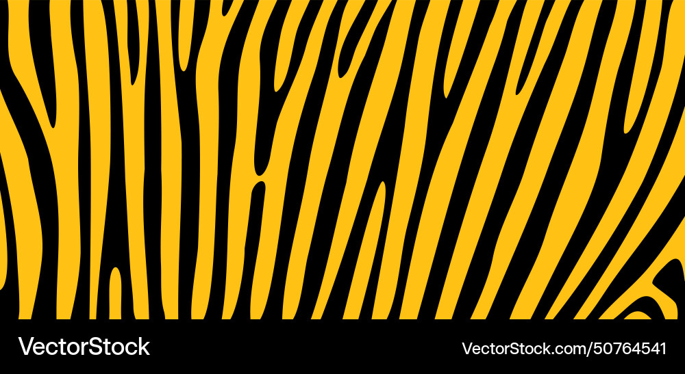 Safari zebra line pattern print Vector Image