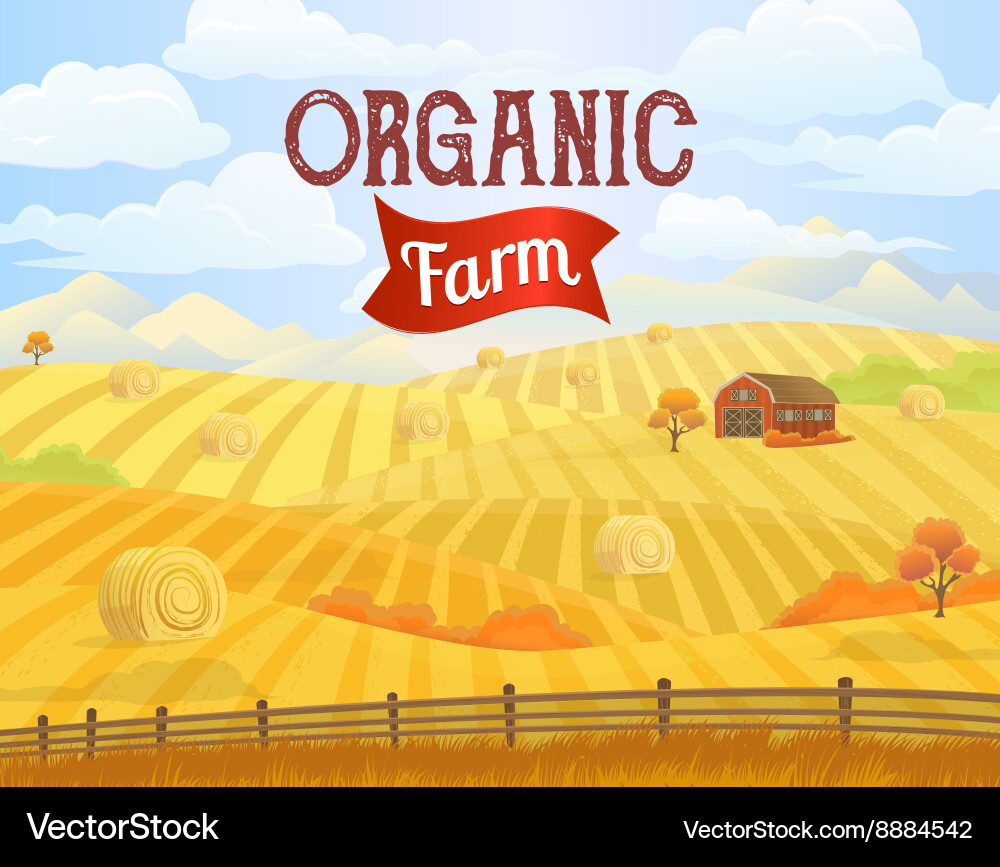 Rural Meadow Landscape vector image