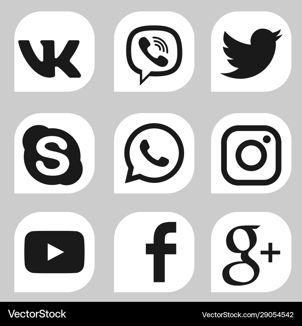 Social Media Icons Set vector image