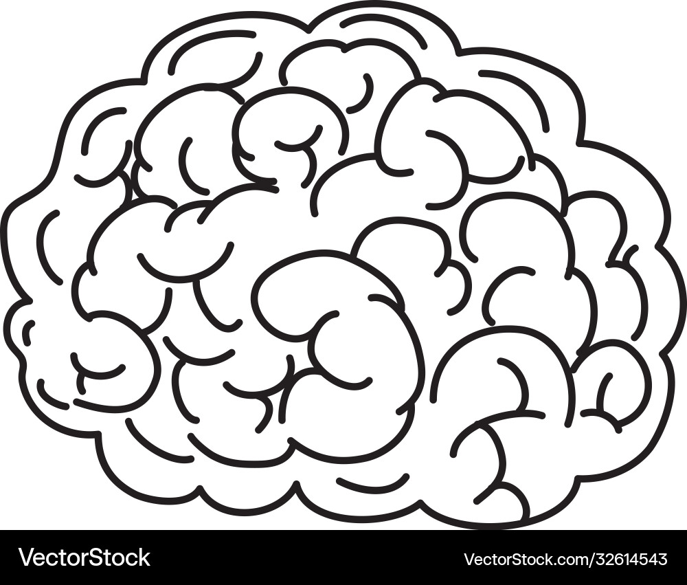 Brain icon image line style Vector Image