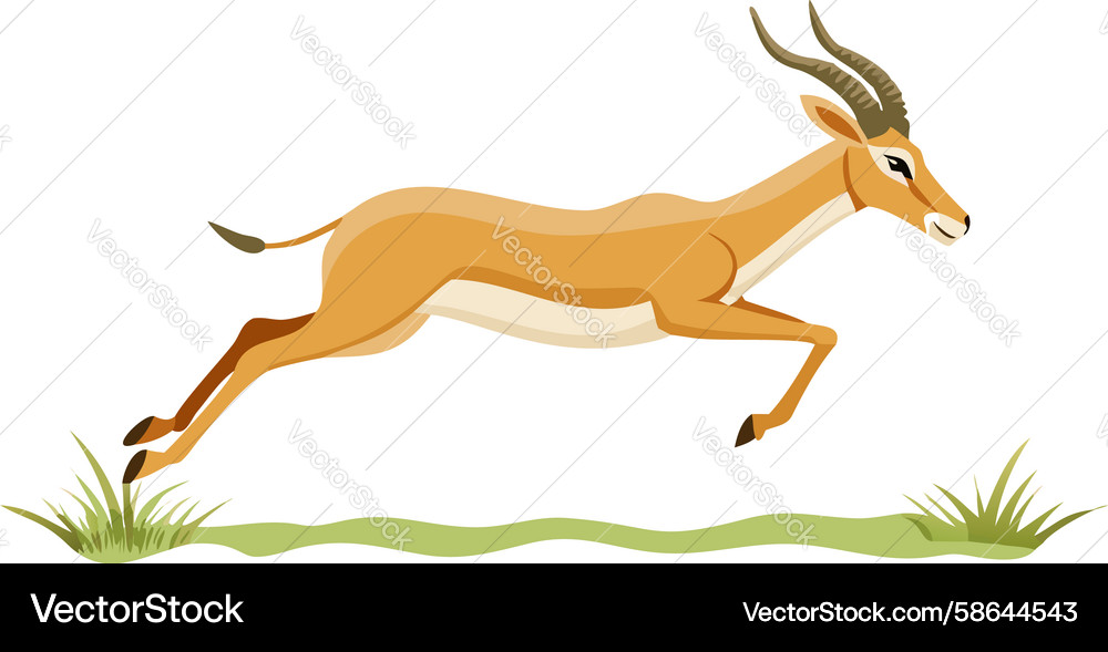 Swift Gazelle in Motion Vector Image