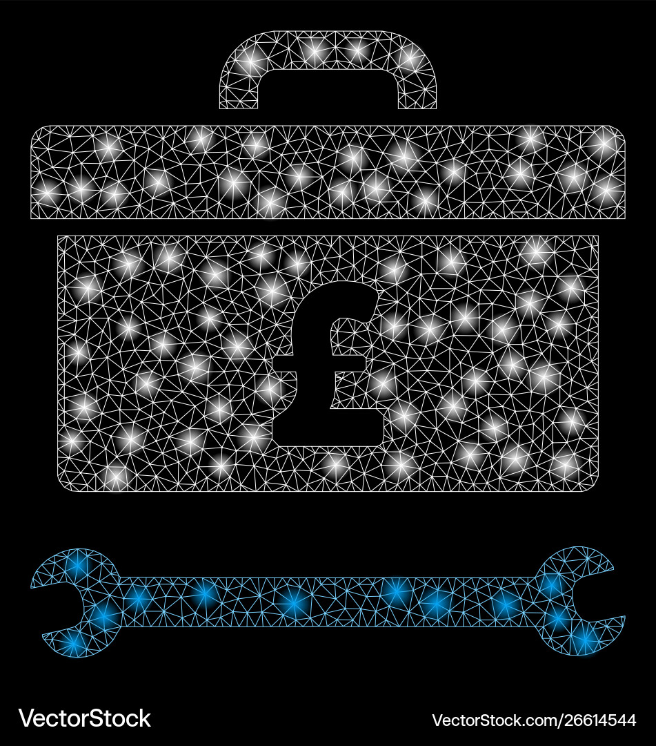 Flare mesh network pound toolbox with spots Flare mesh network pound toolbox with spots vector image