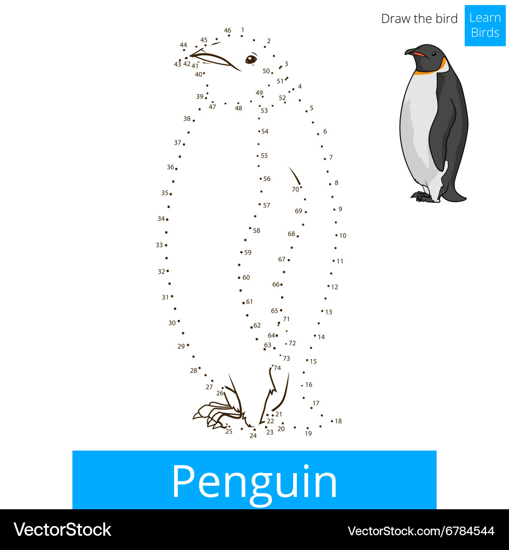 Penguin bird learn to draw Vector Image