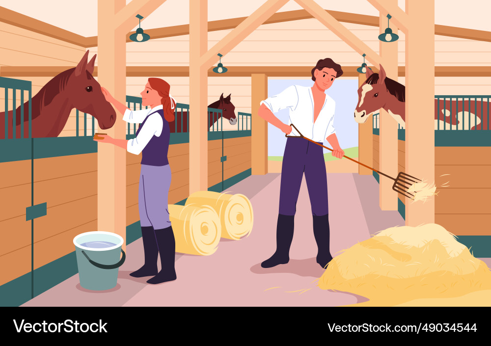 People work in equine stable for horses stallions Vector Image