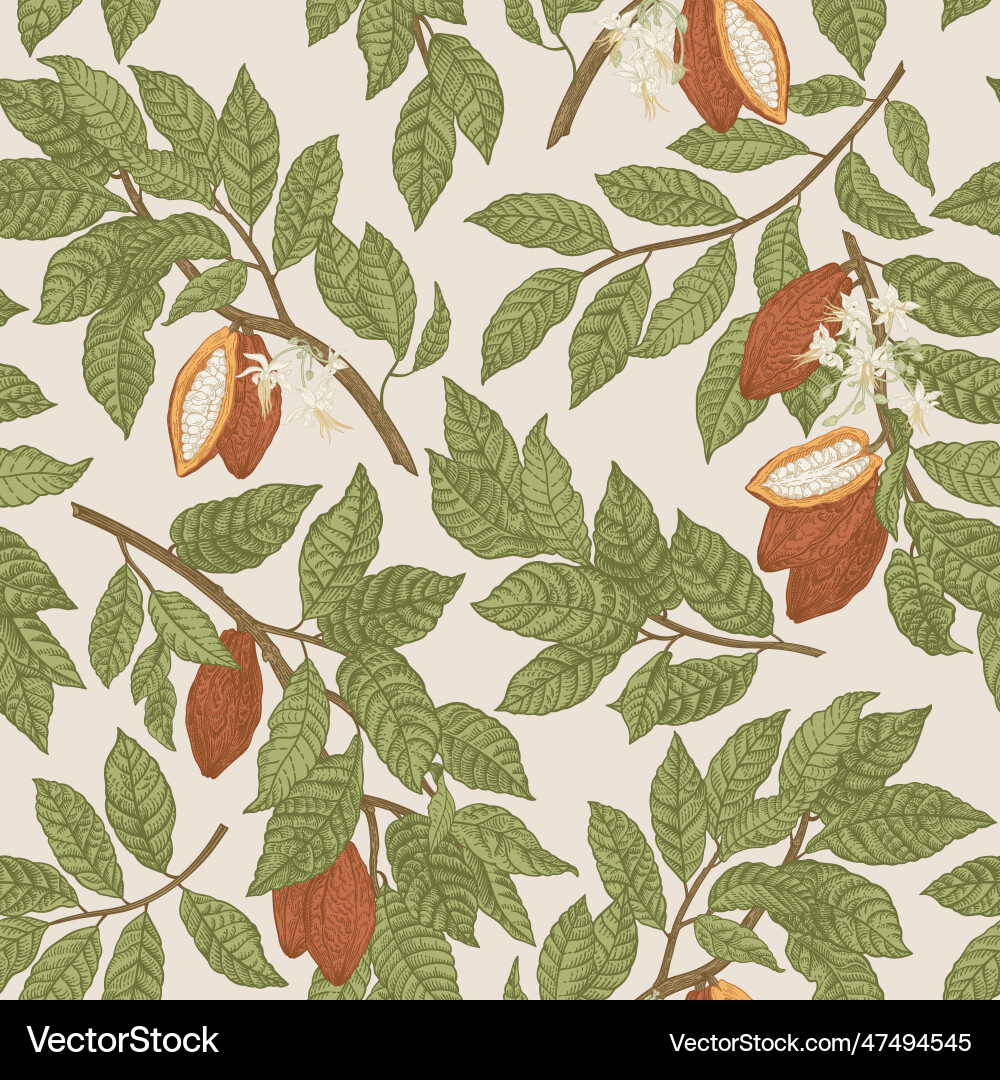Seamless pattern of cocoa Seamless pattern of cocoa vector image