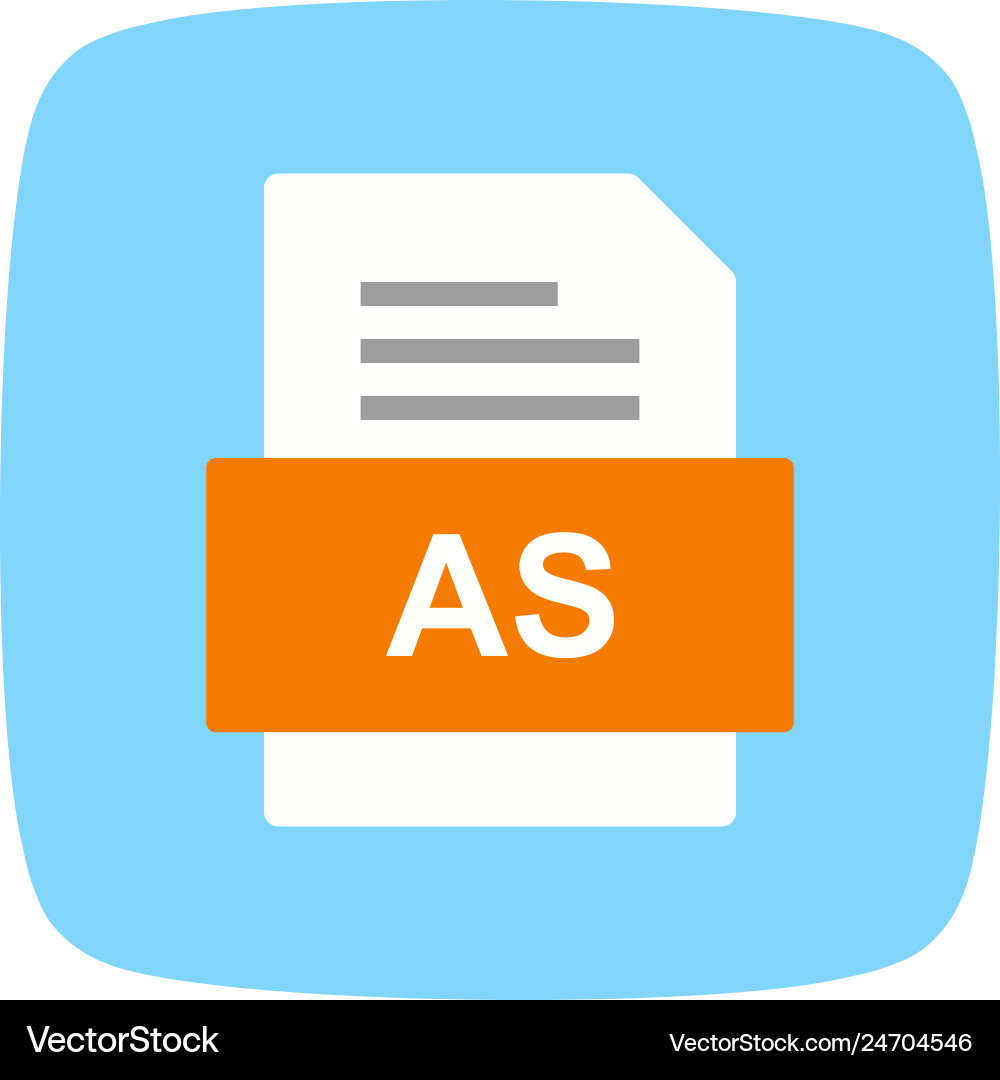As file document icon vector image