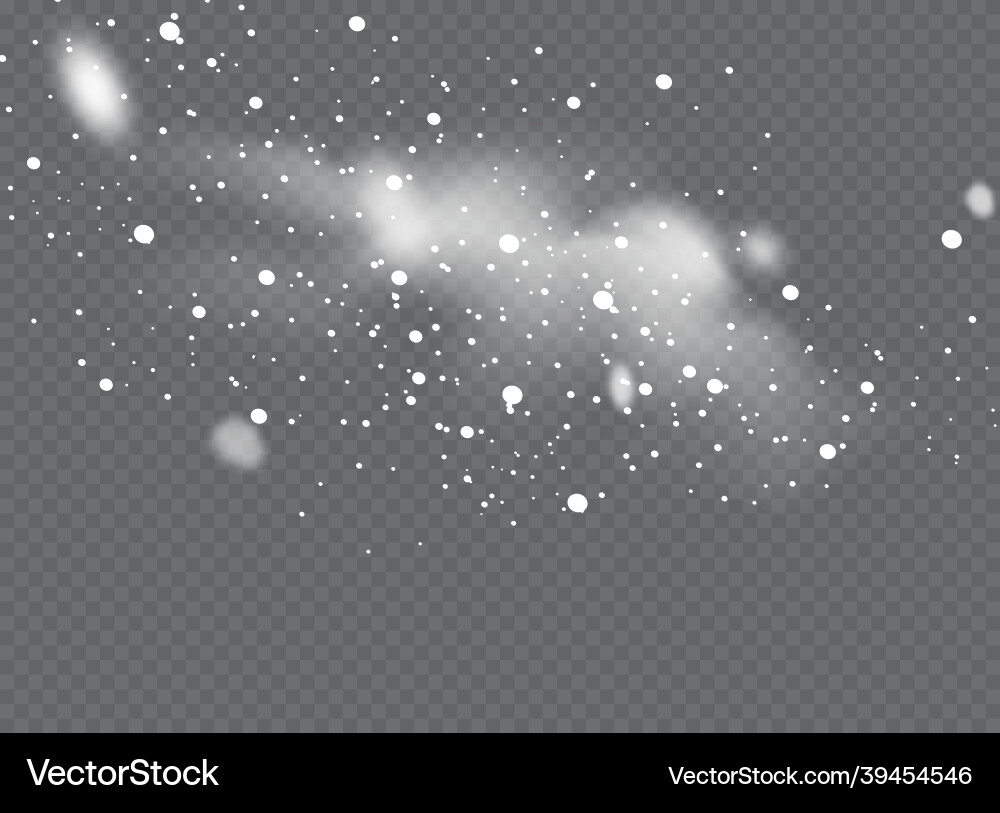 Snowfall snowflakes in different shapes and forms Snowfall snowflakes in different shapes and forms vector image