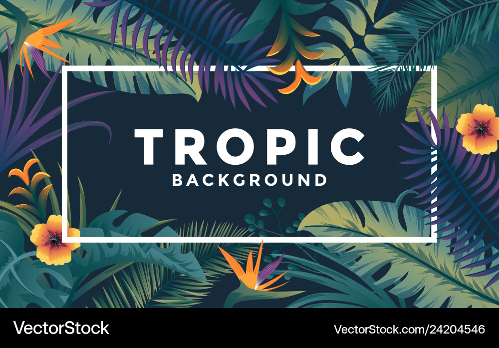 Tropical Leaf Frame Background Royalty Free Vector Image