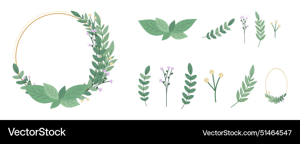 Botanical frame elements collection for wedding Vector Image