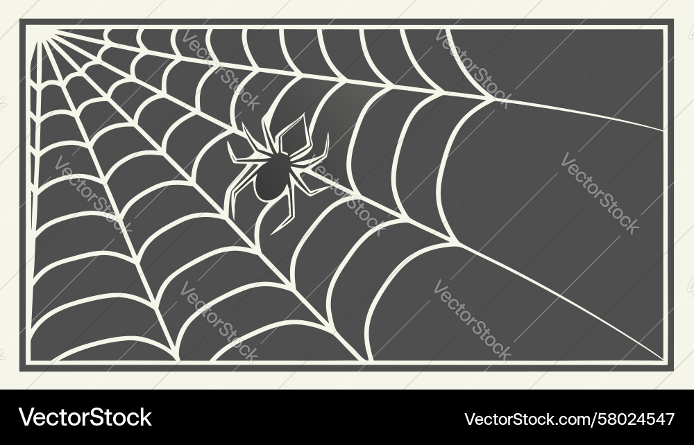 Delicate Spiderweb Pattern Vector Image