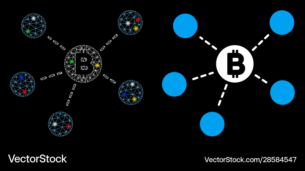 Flare mesh carcass bitcoin net structure icon Flare mesh carcass bitcoin net structure icon vector image