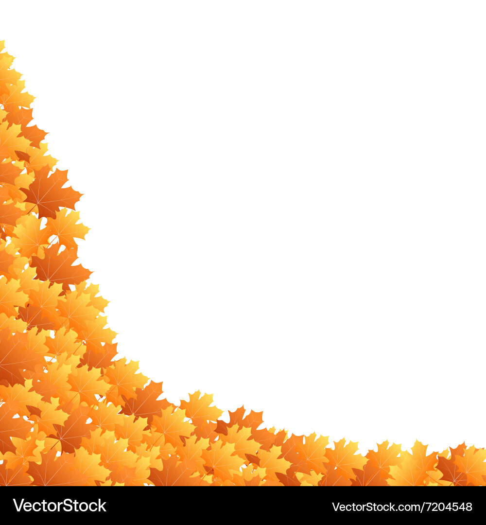 Autumn background with space for text vector image