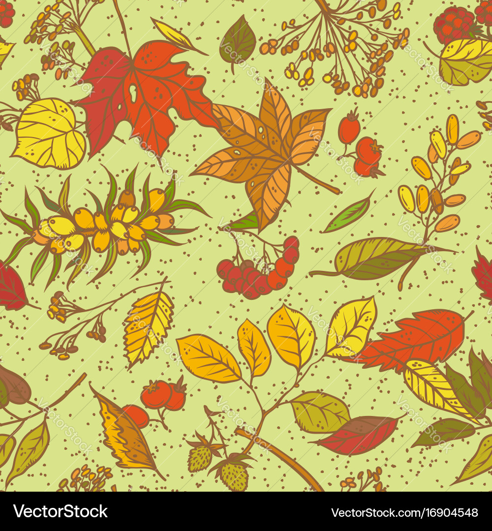 Seamless pattern sketch branches vector image