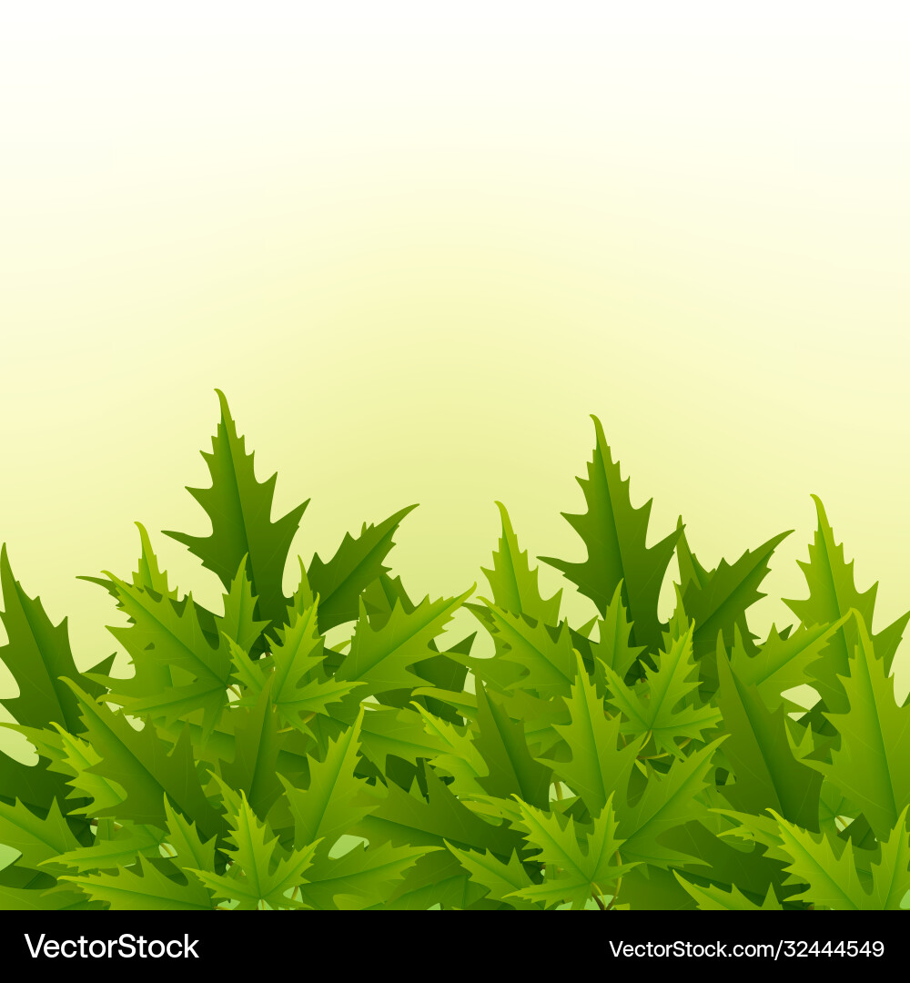 A simple pattern leaves white background A simple pattern leaves white background vector image