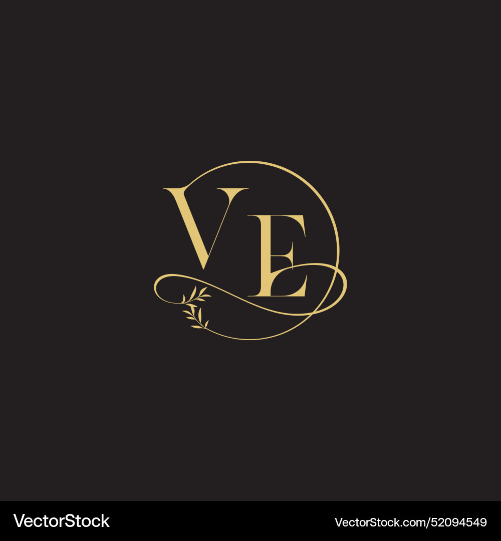 Circle and organic style ve wedding monogram Vector Image